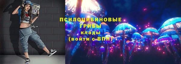гашик Балахна
