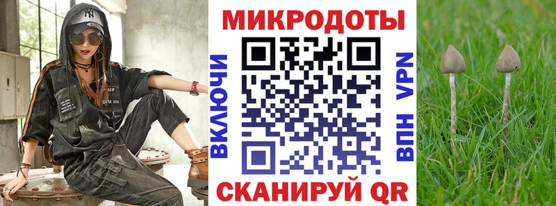 Галлюциногенные грибы мухоморы  Кулебаки 